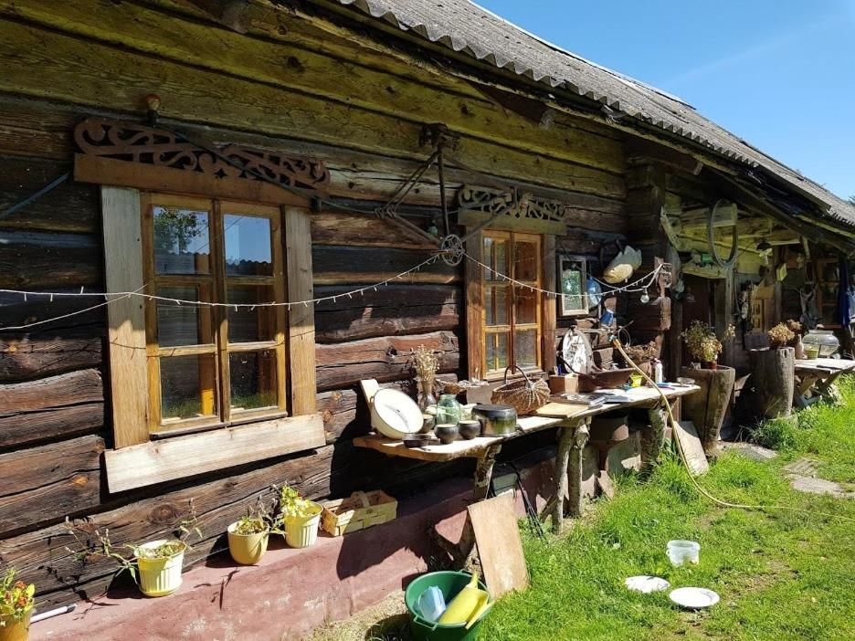 Дома для отпуска Деревня-музей Забродье Zabrodye -49