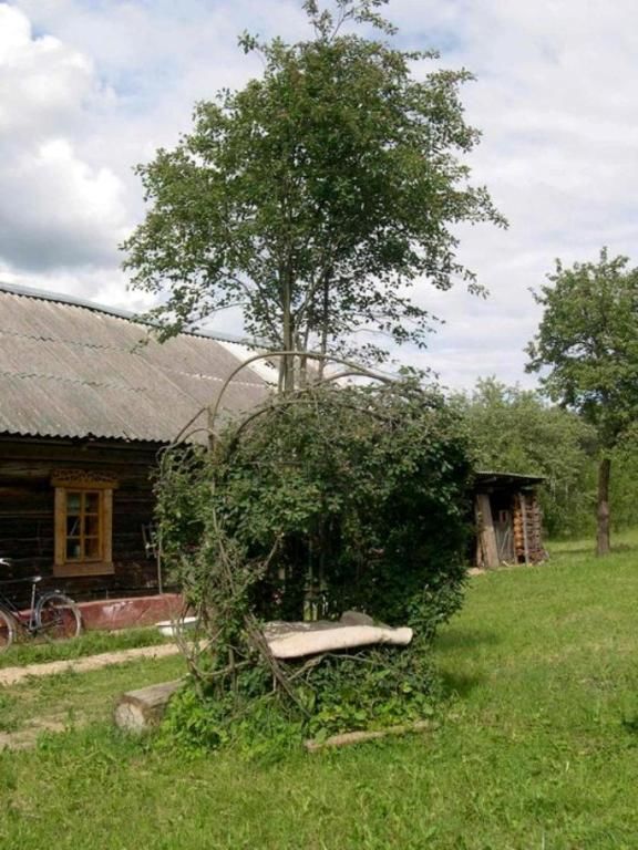 Дома для отпуска Деревня-музей Забродье Zabrodye -51